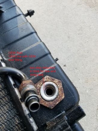 OEM radiator and trans line