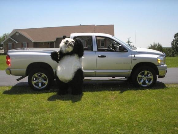 dodge4