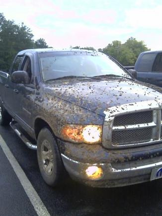 i said i like muddin
