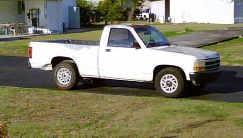 DSC00029