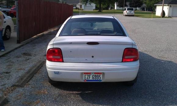 Needs a new trunk