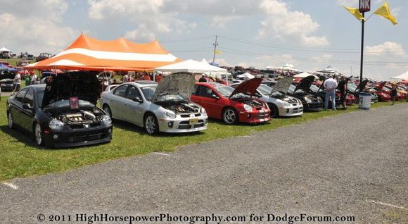 DSC 0206