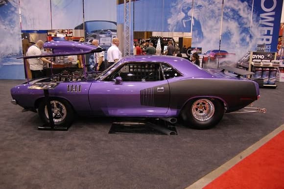 plum71