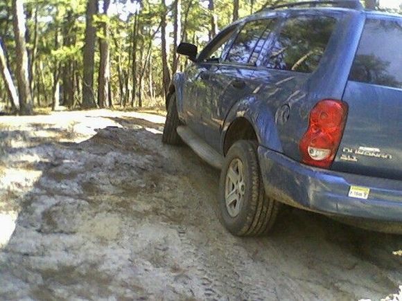 wharton state forest