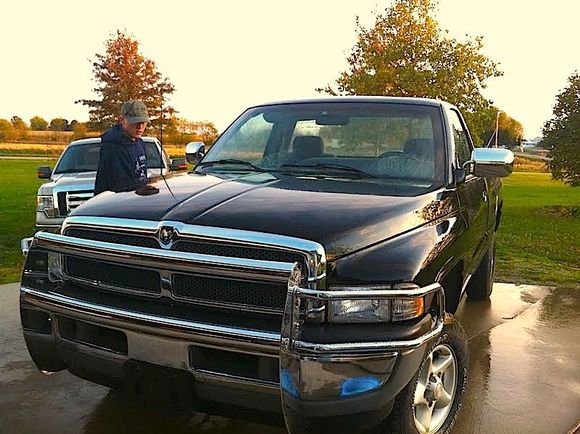 black beauty