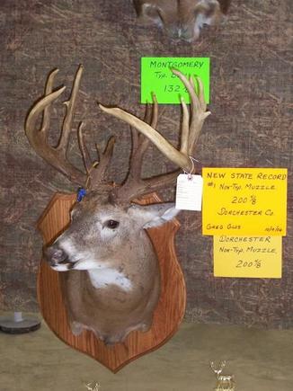 My deer on display at the 2008 Maryland Trophy Deer Contest. He ended up the new muzzleloader state record.