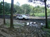 mudding in the rango