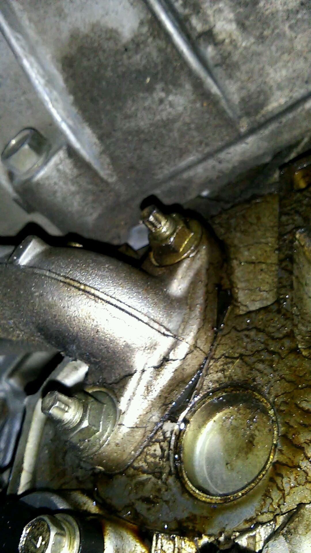 Oil leak G35Driver Infiniti G35 & G37 Forum Discussion