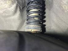 True Coils - Stance.
