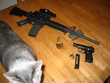Cats like guns.  Me too.