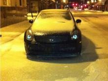 My G caught in "Snowpocalype 2011".  Poor thing.