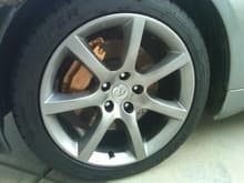 Polished and Waxed Wheels