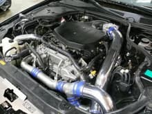 Belly of the Beast! Fully Built Motor, JWT TT(700BB), Koyo Radiator, GTM Cold Air Intake, Stillen Oil Cooler Kit, Custom Fuel System(hidden)...
