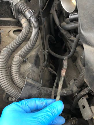 Found this wire hanging... 