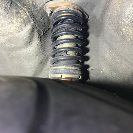 True Coils - Stance.