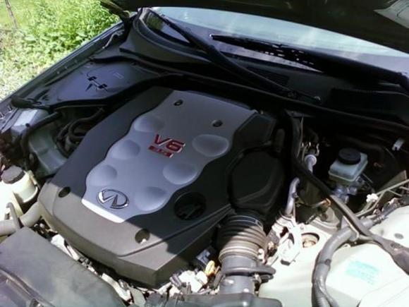 Stock Engine Bay