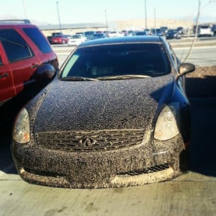 Muddy but still riding clean