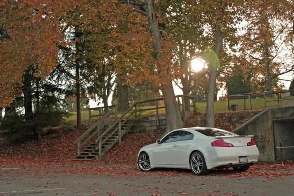 Playing in the leafs