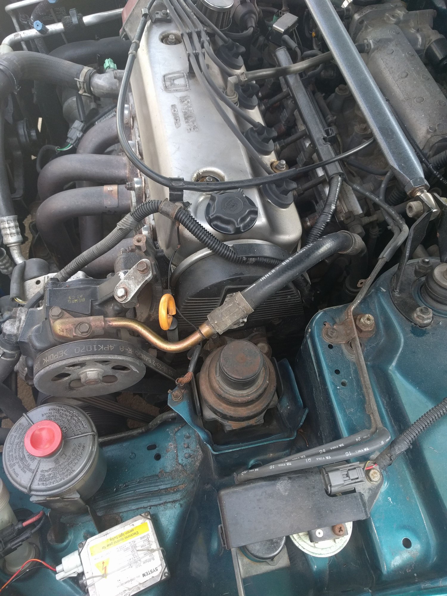 1995 Honda Accord lx 2 2l f22b2 engine oil leak HondaTech Honda