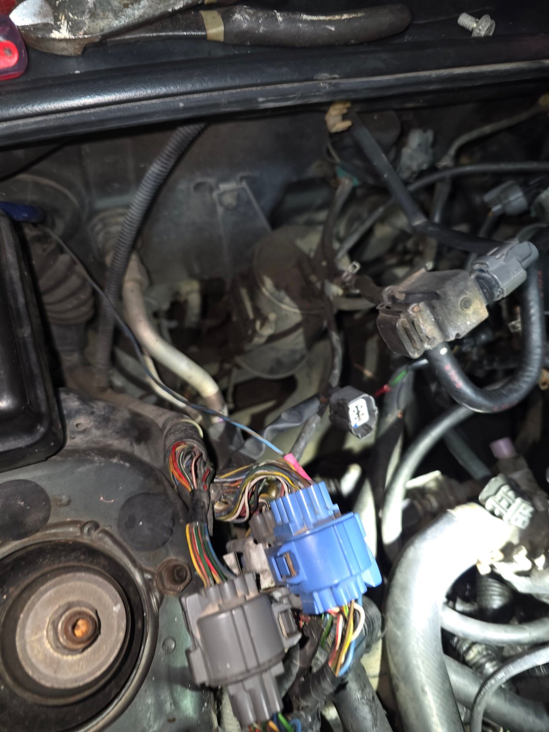 Anyone know why this wire would be pinned into the chassis harness right here