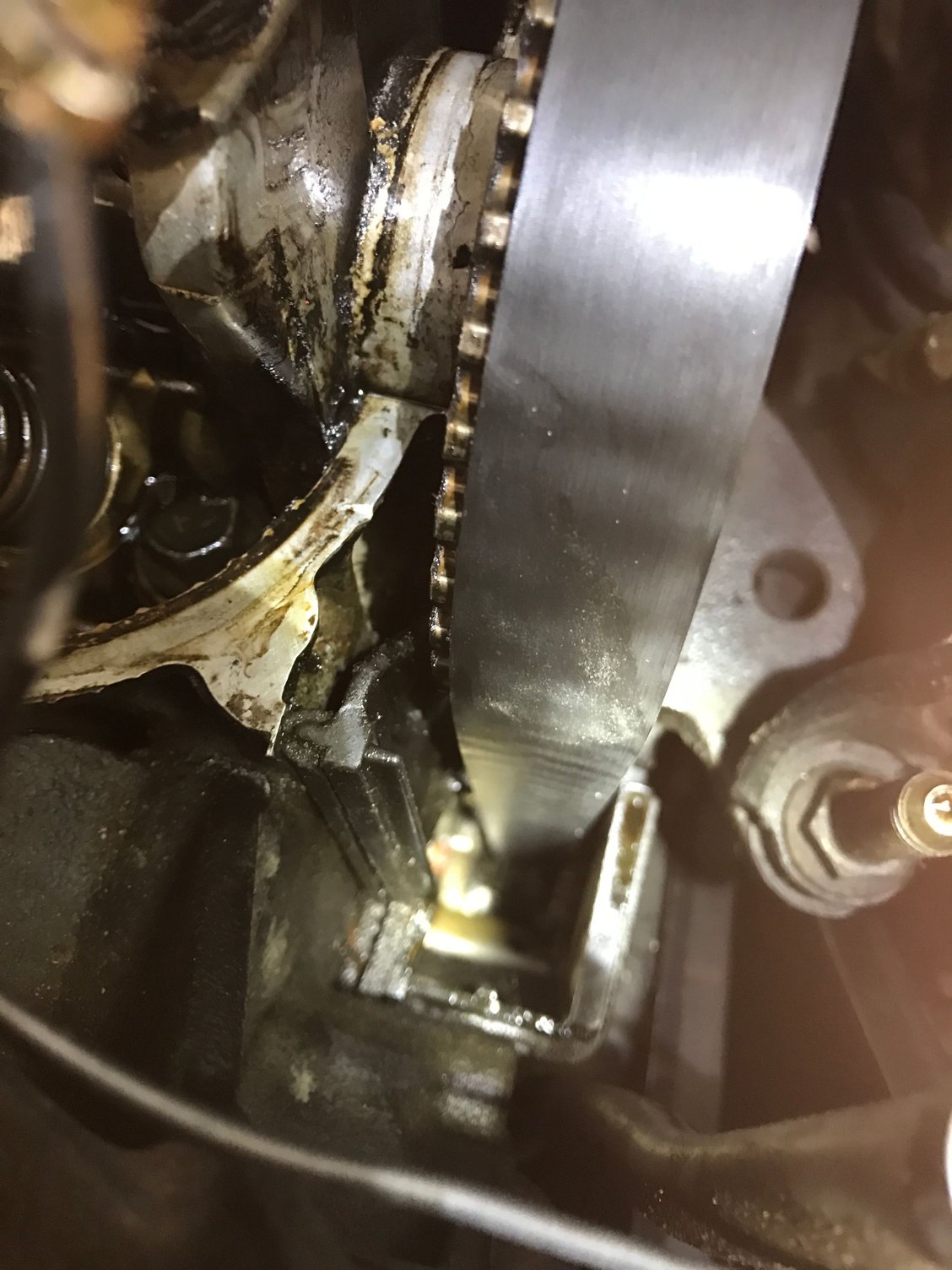 Timing Belt Inspection HondaTech Honda Forum Discussion