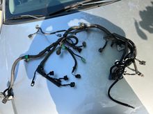 Harness 1 
