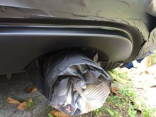 Sprayed the shit out of it with purple power and its finally behaving. So at this point in time i went in the house and ordered a pizza