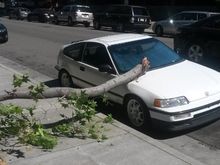 Then one day i had a tree fall on it while I was at work 😞