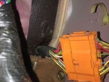 Plugged right in.