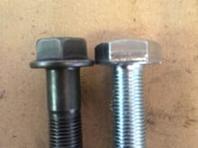 Factory bot compared to the "special" bolt.
