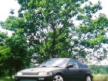 1989 Honda CRX Si
