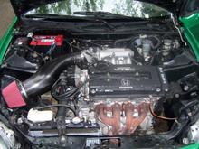 B16