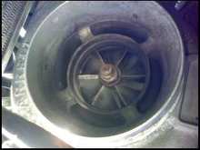 heart of the teg