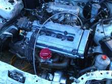 carmotorin