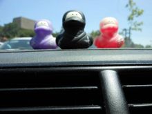 loving my dashboard ninja ducks