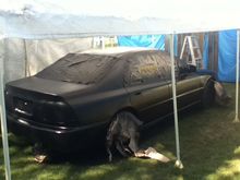 new paint job