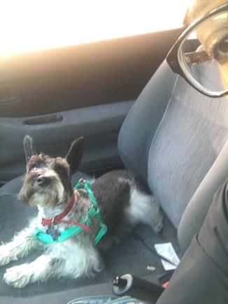 My co pilot Bravo