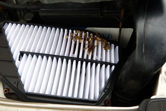 A mouse chewed through the air filter...