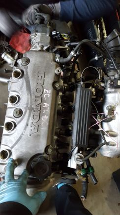 Obd0 harness is swapped, but this was before everything from the d16 was transferred to the zc.