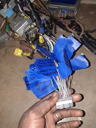 J32 harness from motor to ECU