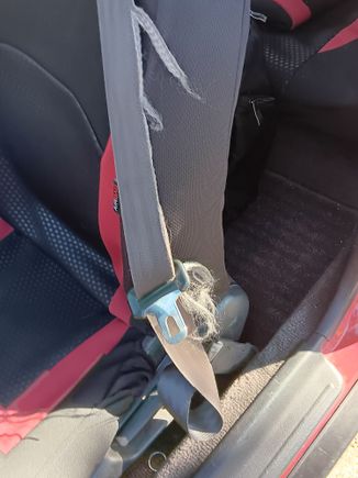 The driver's side is ragged.