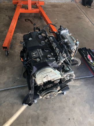 Old 72hp (in its prime) D15b8. Oily mess. The drain bolt is stripped round beyond removal. I wasn’t going to mess with it too much.