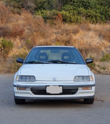 has some minor blemishes - bumper crinkle on passenger side, and small dent/depression in hood near logo