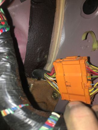 Plugged right in.