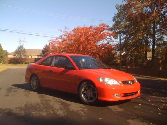 autum pic