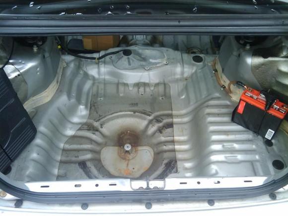 Trunk shot