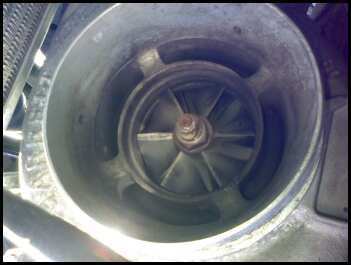 heart of the teg