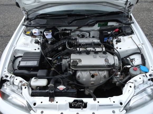 clean bay