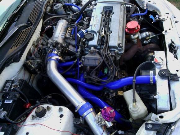 New cooling hoses