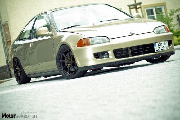 IMG 3830 kopi (800x533)